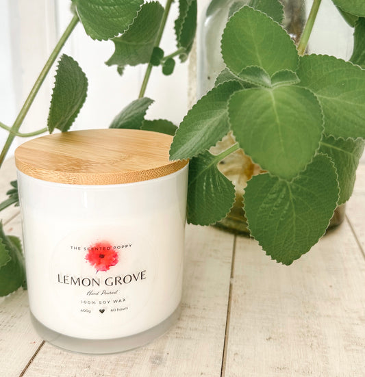 Lemon Grove 100% soy wax Large 60 hour candle Citrus